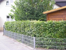 bild30
